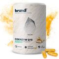 brandl® Coenzym Q10 Kapseln hochdosiert | Q10 Ubiquinon 200mg pro Kapsel | Vegan