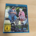 DAS LABYRINTH DER WÖRTER - Blu-ray - Gérard Depardieu - Wendecover