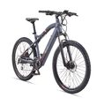 Telefunken E-Bike 29 Zoll Mountainbike Pedelec 24 Gang Shimano Aufsteiger M922