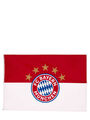 FC Bayern München Hissfahne | Bannerfahne | Logo | Rot-Weiß | Fußball
