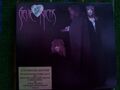 STEVIE NICKS (of Fleetwood Mac) The Wild Heart  2 CD Deluxe Remaster+BonusTracks