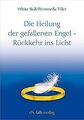 Die Heilung der gefallenen Engel - Rückkehr ins Lic... | Buch | Zustand sehr gut