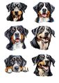 Designer Aufkleber / Sticker / Stickerbogen - Hund  Entlebucher Sennenhund