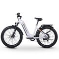 E-MTB 26 Zoll E Mountainbike 840WH Elektrofahrrad 1000W Shengmilo Fat E-bike