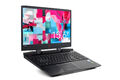 HP Omen Gaming Laptop 15.6" i7-8750H 16GB RAM 256GB SSD 1TB HDD GTX 1060 144Hz