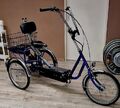 Dreirad für Erwachsene  Therapiedreirad mit Elektroantrieb.6 Gang