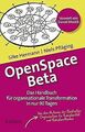 OpenSpace Beta: Das Handbuch für organisationale Tr... | Buch | Zustand sehr gut