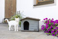Kerbl Katzenhaus Paola Eco (auch geeignet für kleine Hunde, 60 x 51 x 41 cm)