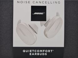 Bose QuietComfort Earbuds Noise Cancelling Bluetooth In-Ear Kopfhörer Weiß - Neu