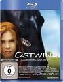 Ostwind [Blu-ray] von von Garnier, Katja | DVD | Zustand neu