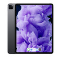 Apple iPad Pro 4  (12,9") 512 GB Wi-Fi + Cellular - Space Grau |PG2402-135023...