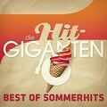 Die Hit Giganten - Best of Sommerhits von Various | CD | Zustand gut