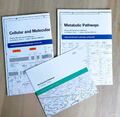 Biochemical Pathways + Cellular/Molecular Processes + Index - NEU druckfrisch