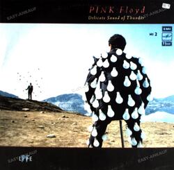 Pink Floyd - Delicate Sound Of Thunder № 2 USSR LP 1990 (VG/VG) Vinyl .