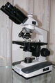 Mikroskop Müller, Labor, Studium, Biologie, Microscope,
