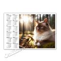 Katzenkalender + + Taschenkalender 2024  |  Cat Calendar 2024 [K07]