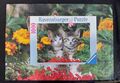 Ravensburger Puzzle  1000 Teile Katzen Zwei Kleine Hauskatzen 155378 Vollständig