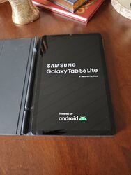 Samsung Galaxy Tab S6 Lite SM-P615 64GB, Wi-Fi + 4G, 10,4 Zoll inkl. orig. Hül.
