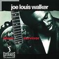 Blues Survivor von Walker,Joe Louis | CD | Zustand sehr gut