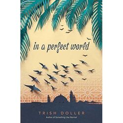 In a Perfect World - Taschenbuch NEU Doller, Trish 08/01/2020