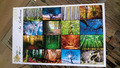 Grafika Travel Puzzle 1000 Teile, Collage-Bäume, wie neu - vollständig