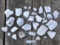 Fossile Schwämme und Bruchstücke vom Schwamm aus Misburg Lot Dekor Konvolut