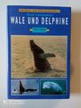 Wale und Delphine 1 Buch