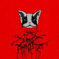 Baby Ghosts Maybe Ghosts (CD) Album