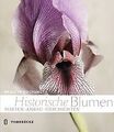 Historische Blumen: Sorten, Anbau, Geschichten von ... | Buch | Zustand sehr gut