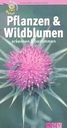 Pflanzen und Wildblumen erkennen & bestimmen: Wegwe... | Buch | Zustand sehr gutGeld sparen & nachhaltig shoppen!