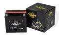 Polar Bär Batterie 12V 14Ah inkl. Säurepack Motorradbatterie Motorrad Roller