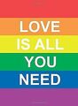 Love is All You Need | Buch | Zustand sehr gut
