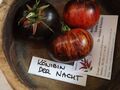 Königin der Nacht Tomate - Tomato - 10+ Samen - Saatgut - SCHÖN und FEIN! P 018