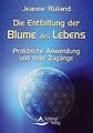 Die Entfaltung der Blume des Lebens - Praktische An... | Buch | Zustand sehr gut