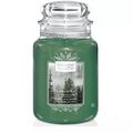 Yankee Candle Evergreen Mist Duftkerze im Glas 623g Warmer Holziger Duft