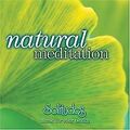 Natural Meditation von Various | CD | Zustand gut