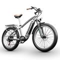 26 Zoll E Mountainbike BAFANG E-Bike Elektrofahrrad Fatbike 1000W 25km/h eBike