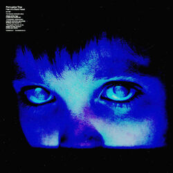 Porcupine Tree - Fear Of A Blank Planet (Vinyl 2LP - 2007 - Reissue)