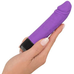 Anal Dildo Vibrator Plug realistsich Sexspielzeug Klitoris Vagina Anus G-Punkt