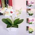 Home Decor Künstliche Schmetterling Orchidee Seide Blumen Pflanzen im Topf