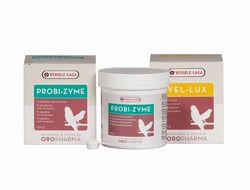 Orlux Probi-Zyme Kombi verdauungsfördernd aus Probiotika/Verdauungsenzymen 200g