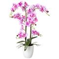 GASPER Schmetterlingsorchidee - Phalenopsis Rosa Keramiktopf 67 cm - Kunstblumen