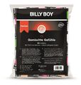 Frei Haus: 100 Billy Boy Kondome Gemischte Gefühle - 6 Sorten - Made in Germany