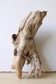 Treibholz Schwemmholz Driftwood 1 knorrige  Wurzel  Terrarium 30 cm *353*