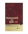 Mathematik mit MATLAB: Eine Einführung für Ingenieure und Naturwissenschaftler