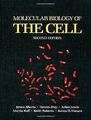 Molecular Biology Of The Cell von Bruce Alberts | Buch | Zustand gut