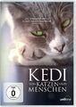 Kedi - Von Katzen und Menschen, 1 DVD | DVD | 2018