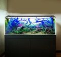 118-150cm LED Aquarium mit timer Lampe Süßwasserfische Vollspektrum RGB 32W