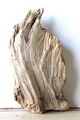 Treibholz Schwemmholz Driftwood  1 knorrige   Skulptur Basteln 36 cm **324**