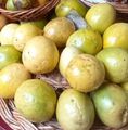 MARACUJA Passiflora  Zitrone, Lemon, Riesen-Granadilla, 10 Samen,Passionsfrucht